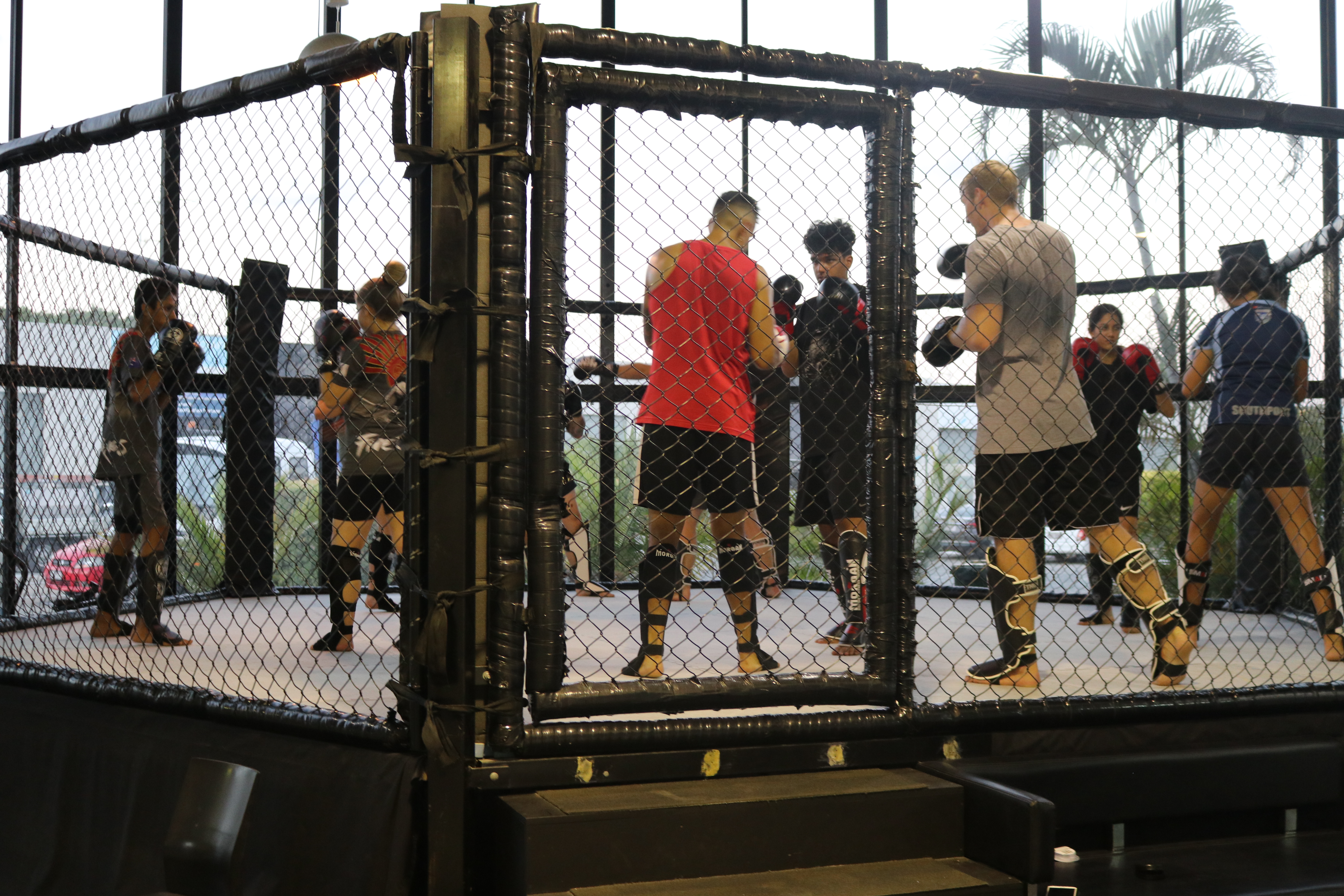 FIVE RINGS DOJO | World Class MMA Training on the Gold Coast